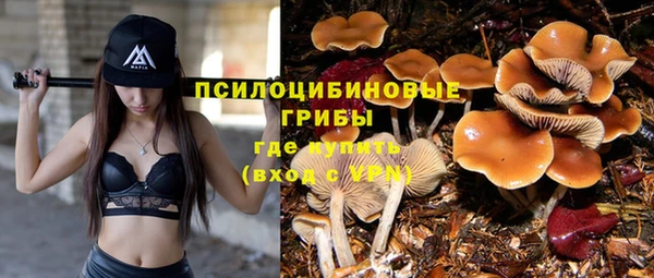 спиды Баксан