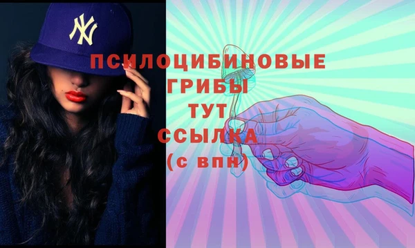 мет Балахна