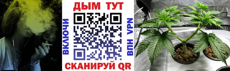 Каннабис SATIVA & INDICA  МЕГА   Ивангород 